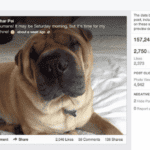 Facebook : une nouvelle page pour vos statistiques