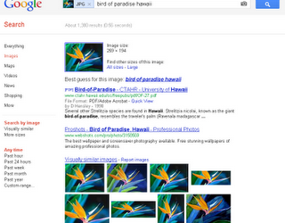 Optimisation des recherches d'image sur Google