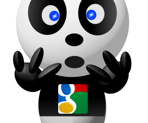 Mise à jour Google Panda