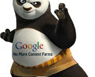 google-panda2