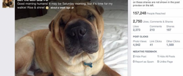 Facebook : une nouvelle page pour vos statistiques