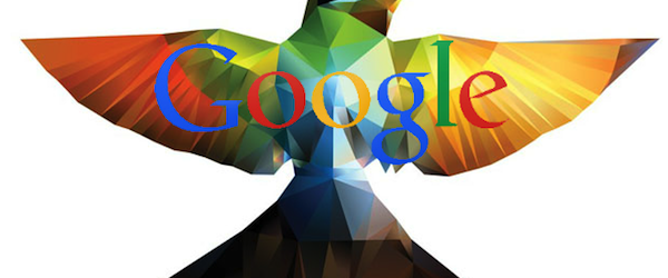 google-hummingbird-colibri